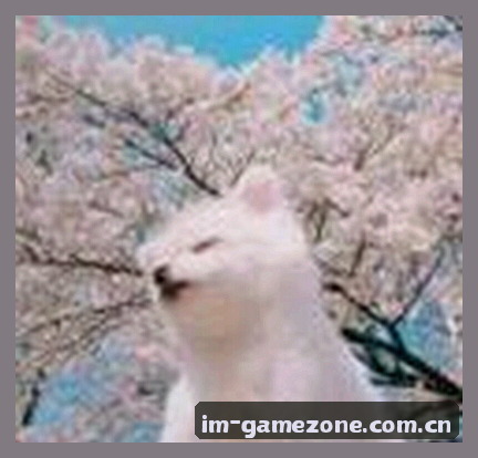 王强